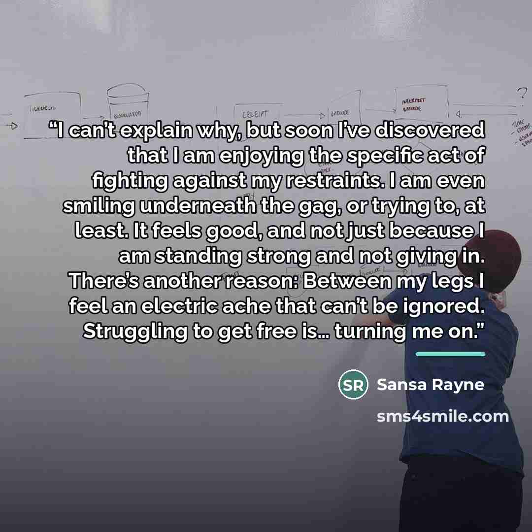 “I can’t explain why, but soon I’ve discovered that I am enjoying the specific act of fighting against my restraints. I am even smiling underneath the gag, or trying to, at least. It feels good, and not just because I am standing strong and not giving in. There’s another reason: Between my legs I…” quote by Sansa Rayne