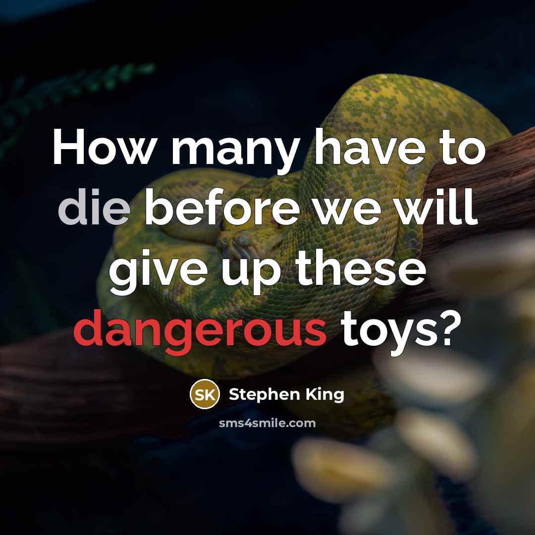 “How many have to die before we will give up these dangerous toys?” quote by Stephen King