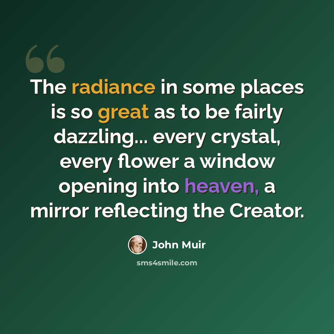“The radiance in some places is so great as to be fairly dazzling... every crystal, every flower a window opening into heaven, a mirror reflecting the Creator.” quote by John Muir