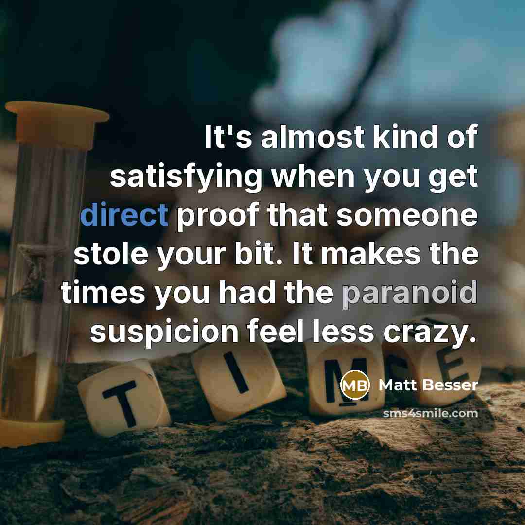 “It's almost kind of satisfying when you get direct proof that someone stole your bit. It makes the times you had the paranoid suspicion feel less crazy.” quote by Matt Besser