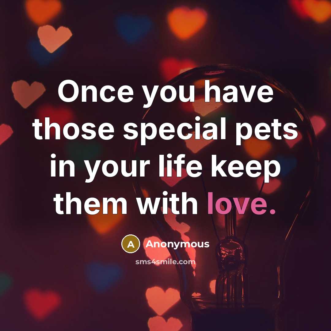 “Once you have those special pets in your life keep them with love.” quote by Anonymous