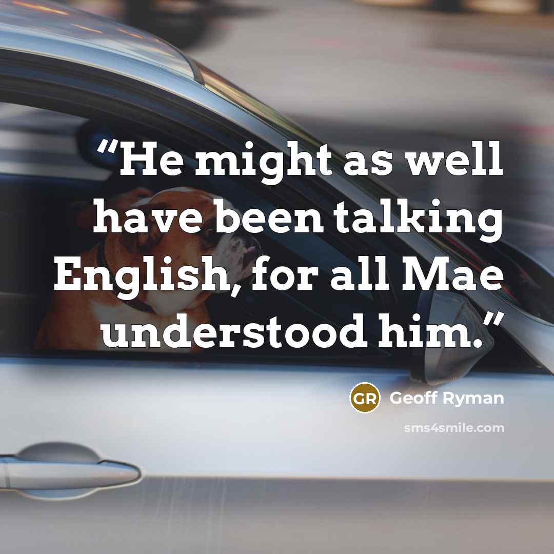 “He might as well have been talking English, for all Mae understood him.” quote by Geoff Ryman