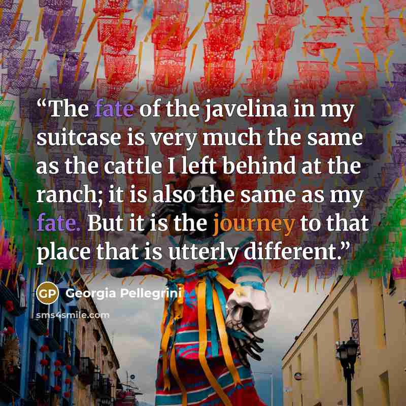 “The fate of the javelina in my suitcase is very much the same as the cattle I left behind at the ranch; it is also the same as my fate. But it is the journey to that place that is utterly different.” quote by Georgia Pellegrini