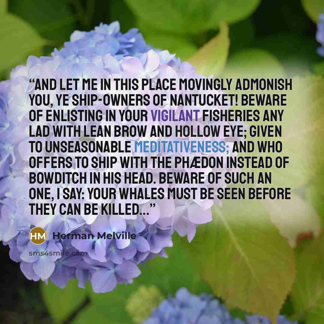 “And let me in this place movingly admonish you, ye ship-owners of Nantucket! Beware of enlisting in your vigilant fisheries any lad with lean brow and hollow eye; given to unseasonable meditativeness; and who offers to ship with the Phædon instead of Bowditch in his head. Beware of such an one, I…” quote by Herman Melville