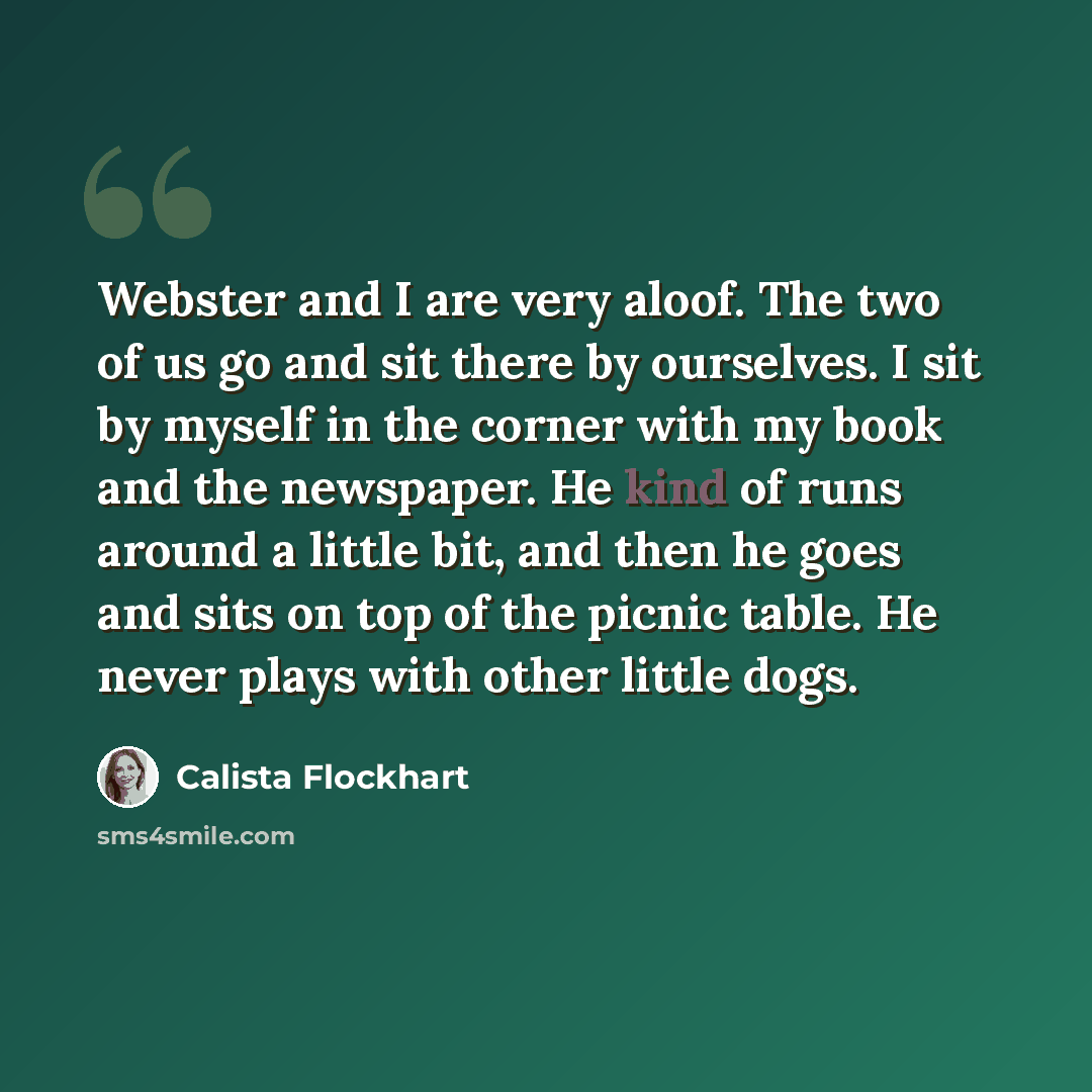 “Webster and I are very aloof. The two of us go and sit there by ourselves. I sit by myself in the corner with my book and the newspaper. He kind of runs around a little bit, and then he goes and sits on top of the picnic table. He never plays with other little dogs.” quote by Calista Flockhart