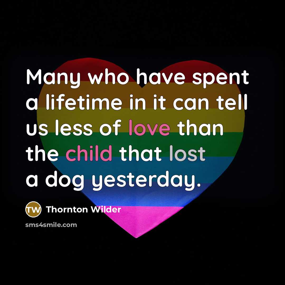 “Many who have spent a lifetime in it can tell us less of love than the child that lost a dog yesterday.” quote by Thornton Wilder