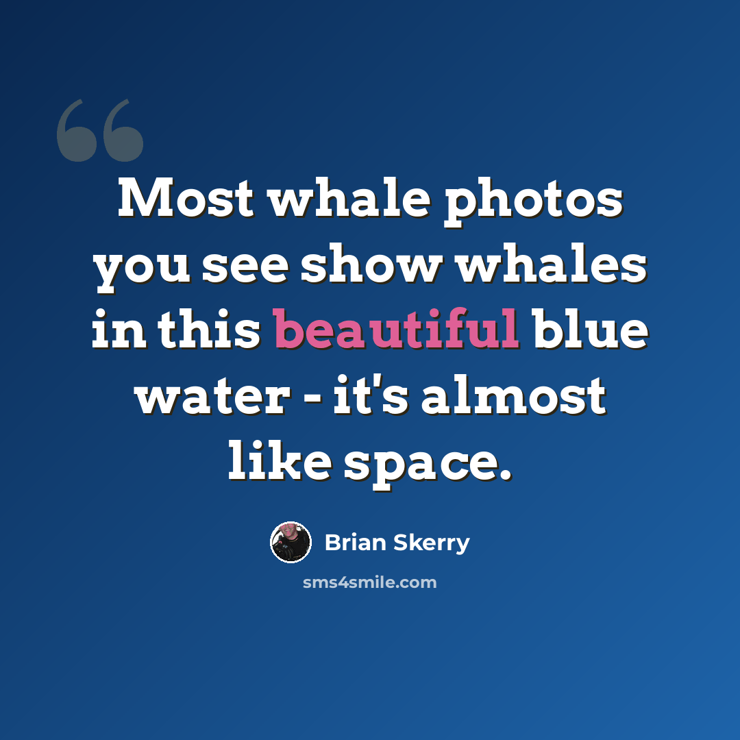 “Most whale photos you see show whales in this beautiful blue water - it's almost like space.” quote by Brian Skerry