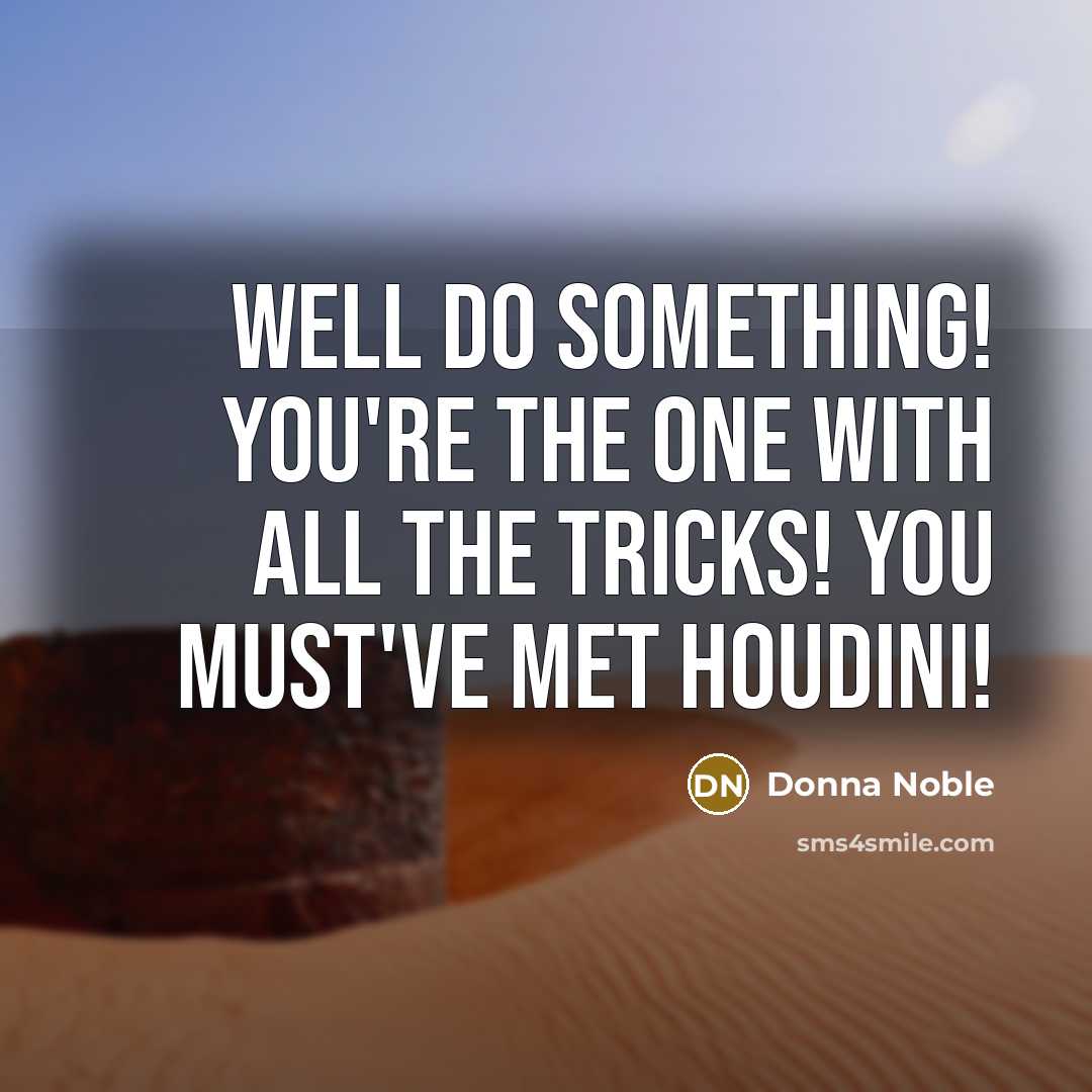 “Well do something! You're the one with all the tricks! You must've met Houdini!” quote by Donna Noble