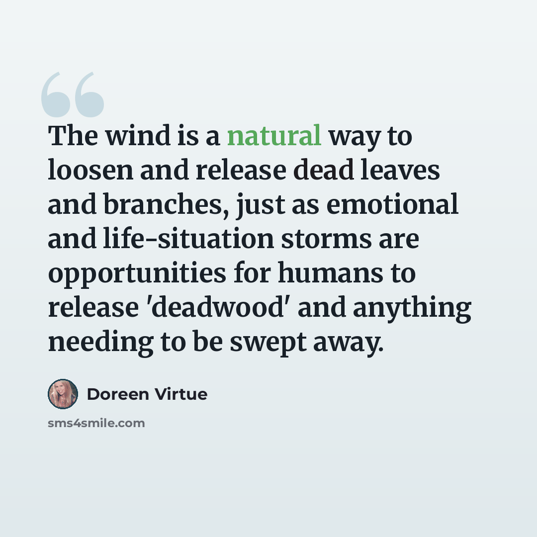 “The wind is a natural way to loosen and release dead leaves and branches, just as emotional and life-situation storms are opportunities for humans to release 'deadwood' and anything needing to be swept away.” quote by Doreen Virtue