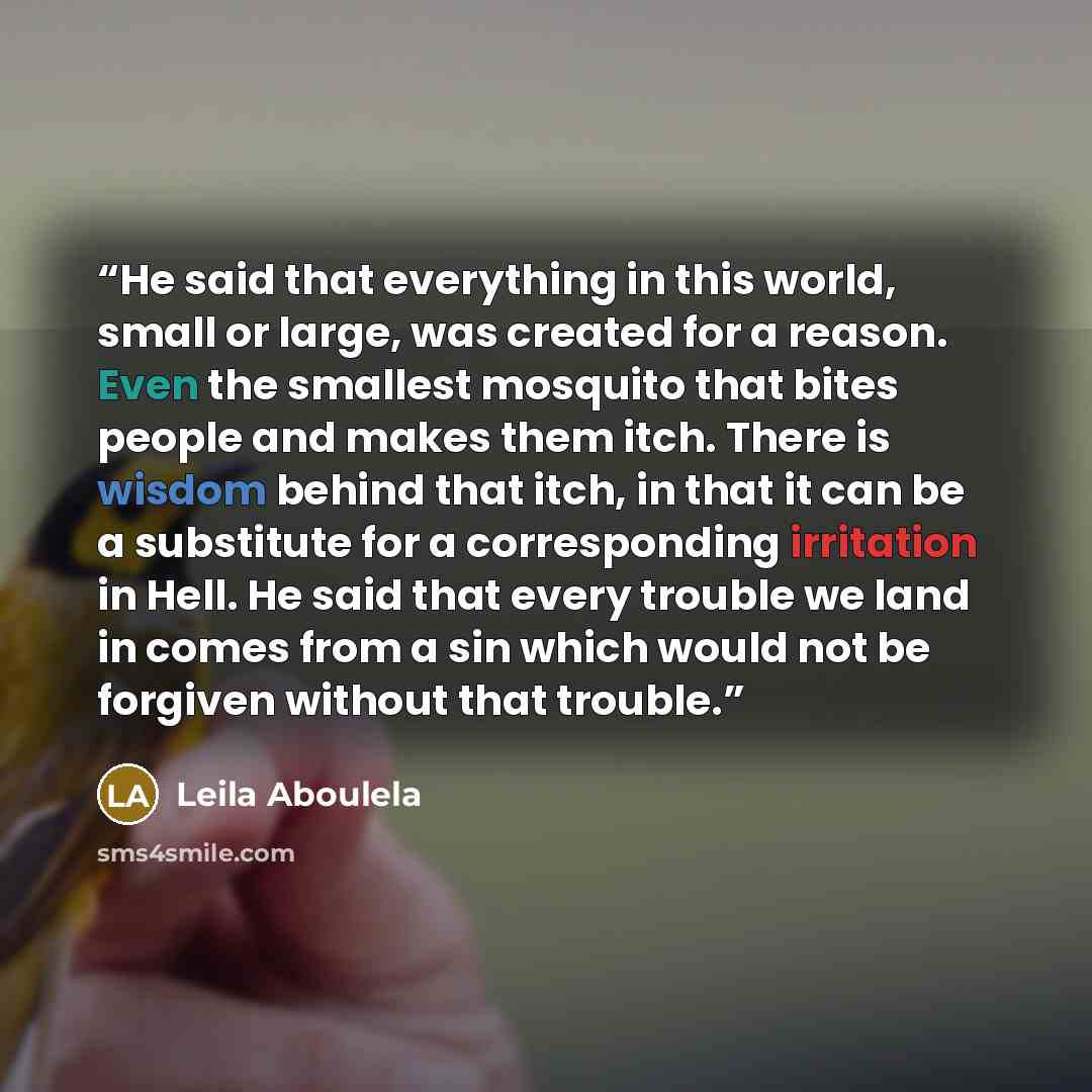 “He said that everything in this world, small or large, was created for a reason. Even the smallest mosquito that bites people and makes them itch. There is wisdom behind that itch, in that it can be a substitute for a corresponding irritation in Hell. He said that every trouble we land in comes…” quote by Leila Aboulela