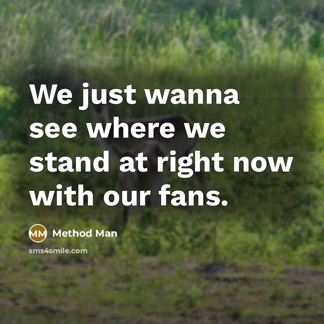 “We just wanna see where we stand at right now with our fans.” quote by Method Man