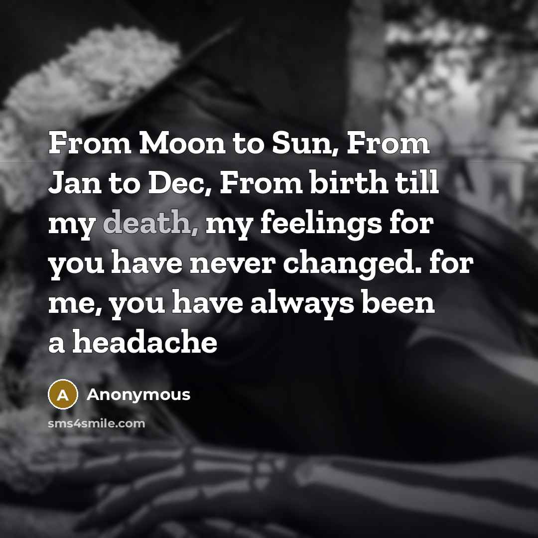 “From Moon to Sun, From Jan to Dec, From birth till my death, my feelings for you have never changed. for me, you have always been a headache” quote by Anonymous