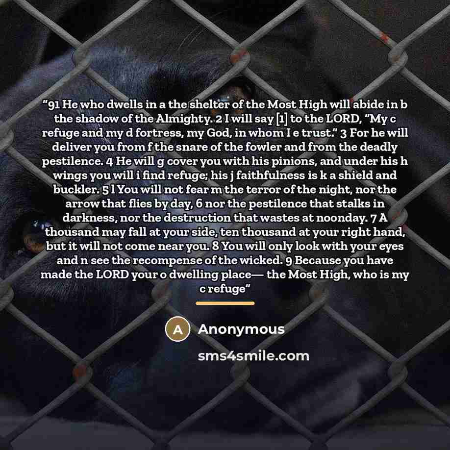 “91 He who dwells in a the shelter of the Most High will abide in b the shadow of the Almighty. 2 I will say [1] to the LORD, “My c refuge and my d fortress, my God, in whom I e trust.” 3 For he will deliver you from f the snare of the fowler and from the deadly pestilence. 4 He will g cover you…” quote by Anonymous