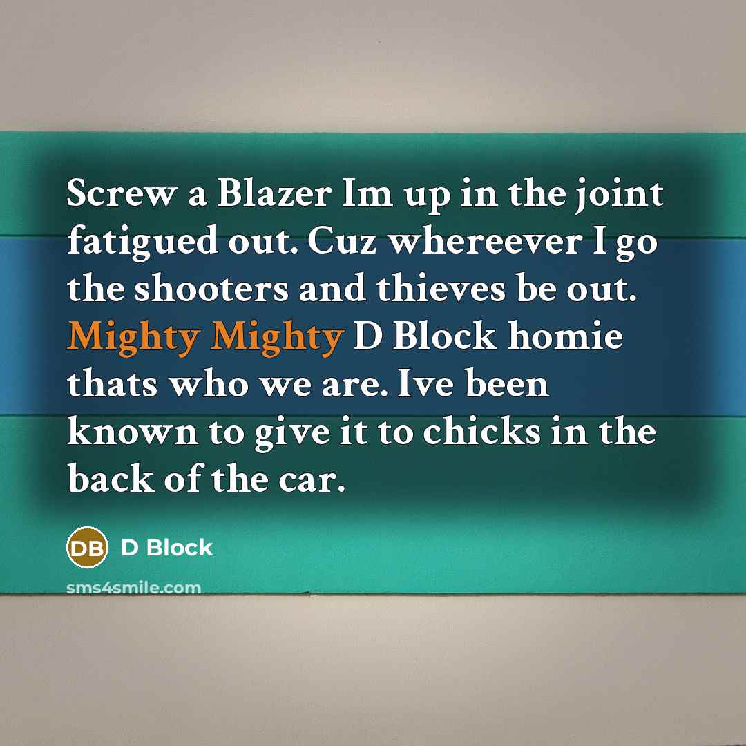 “Screw a Blazer Im up in the joint fatigued out. Cuz whereever I go the shooters and thieves be out. Mighty Mighty D Block homie thats who we are. Ive been known to give it to chicks in the back of the car.” quote by D Block