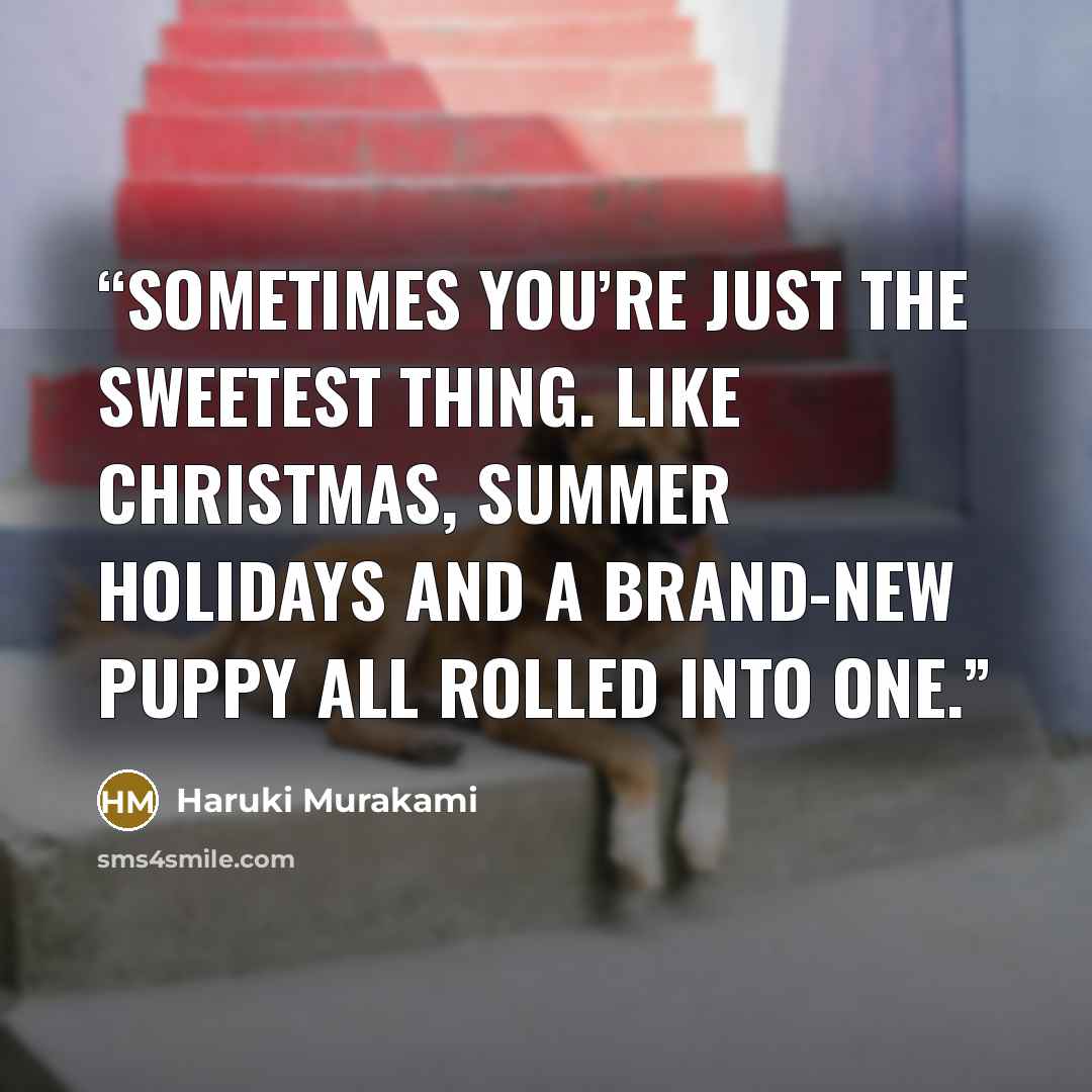 “Sometimes you’re just the sweetest thing. Like Christmas, summer holidays and a brand-new puppy all rolled into one.” quote by Haruki Murakami