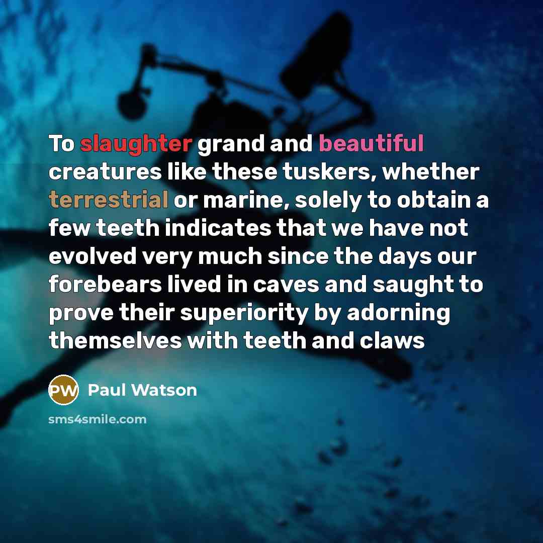 “To slaughter grand and beautiful creatures like these tuskers, whether terrestrial or marine, solely to obtain a few teeth indicates that we have not evolved very much since the days our forebears lived in caves and saught to prove their superiority by adorning themselves with teeth and claws” quote by Paul Watson