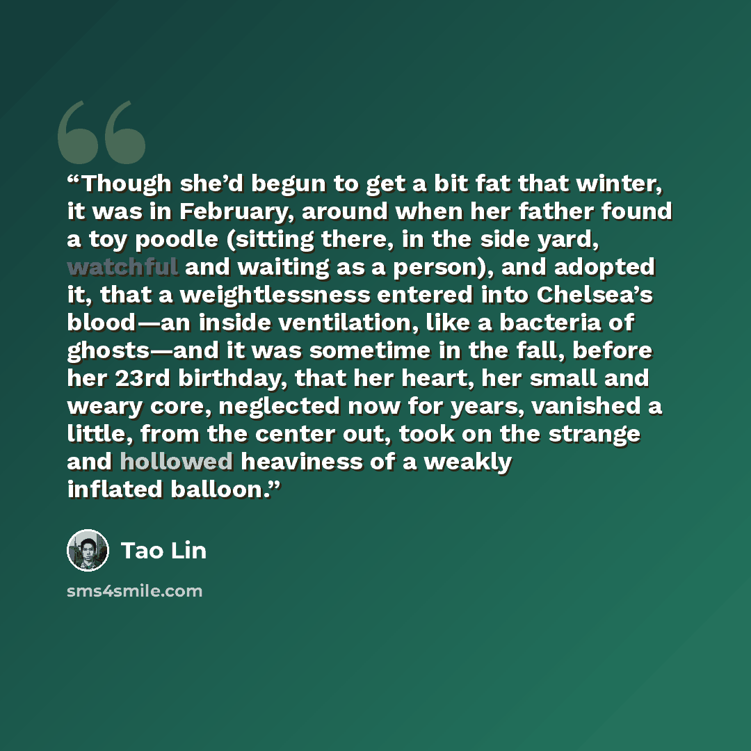 “Though she’d begun to get a bit fat that winter, it was in February, around when her father found a toy poodle (sitting there, in the side yard, watchful and waiting as a person), and adopted it, that a weightlessness entered into Chelsea’s blood—an inside ventilation, like a bacteria of…” quote by Tao Lin