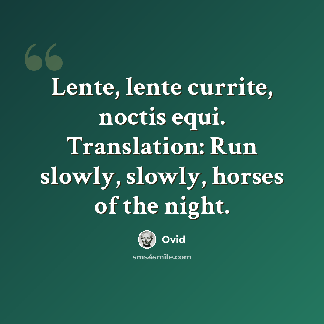 “Lente, lente currite, noctis equi. Translation: Run slowly, slowly, horses of the night.” quote by Ovid
