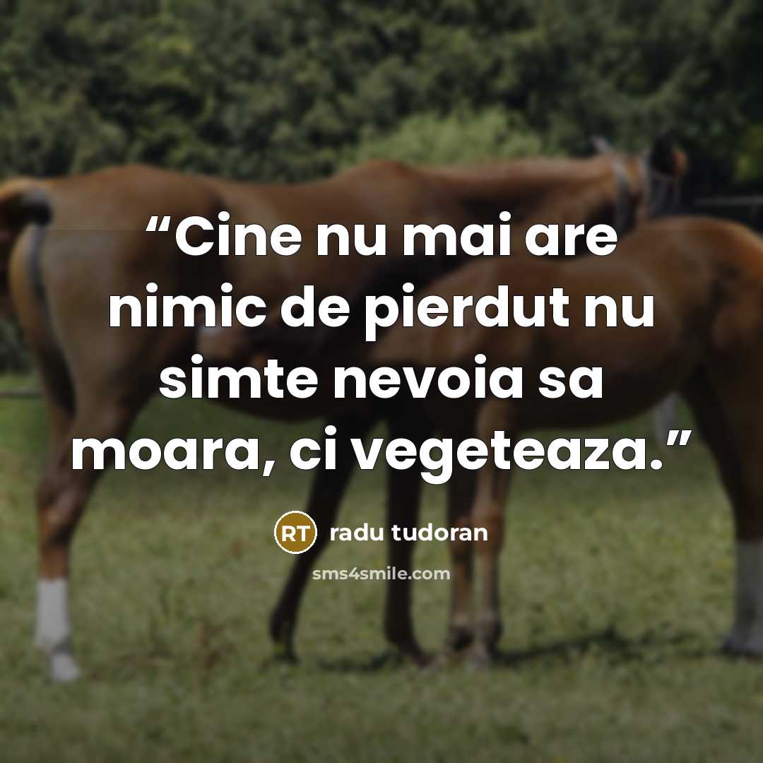 “Cine nu mai are nimic de pierdut nu simte nevoia sa moara, ci vegeteaza.” quote by Radu Tudoran