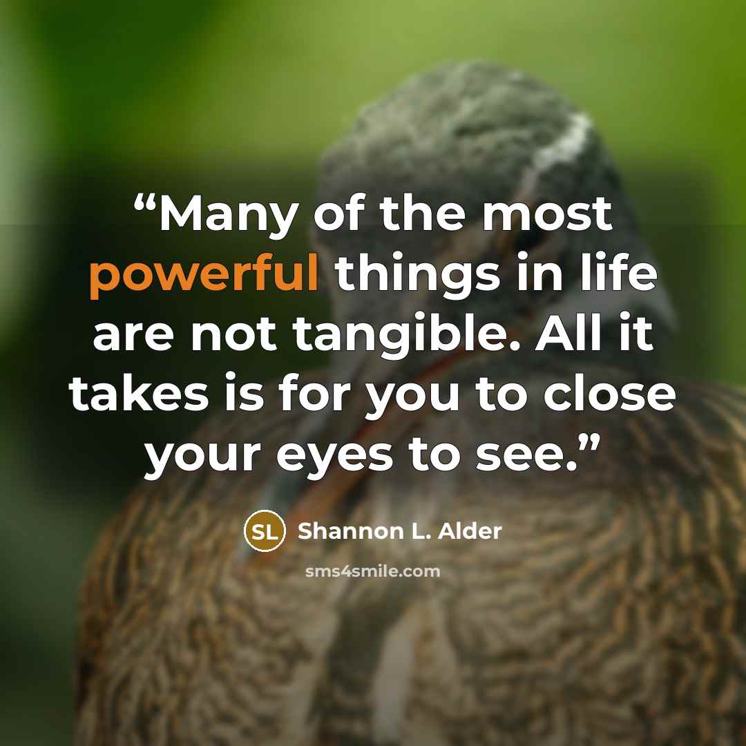 “Many of the most powerful things in life are not tangible. All it takes is for you to close your eyes to see.” quote by Shannon L. Alder