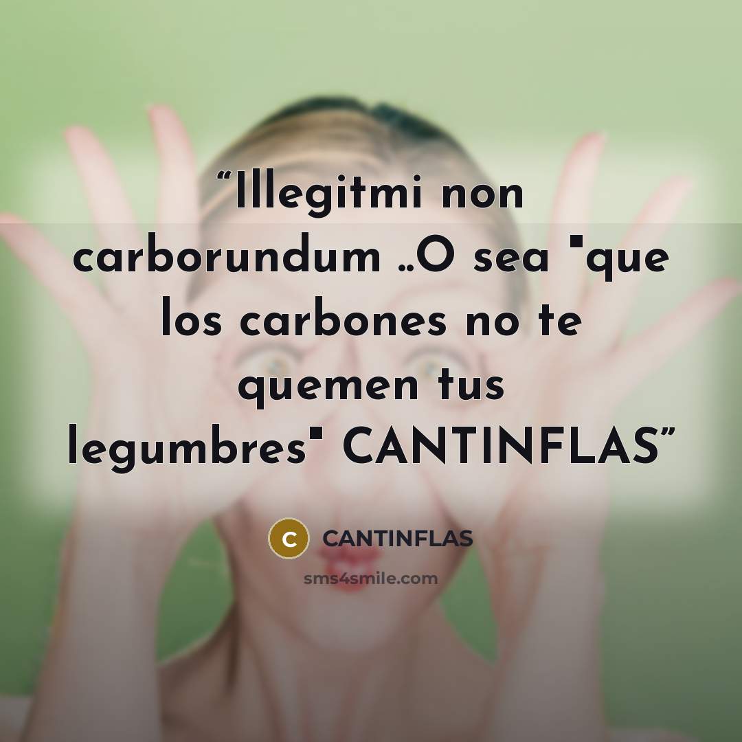 “Illegitmi non carborundum ..O sea "que los carbones no te quemen tus legumbres" CANTINFLAS” quote by CANTINFLAS