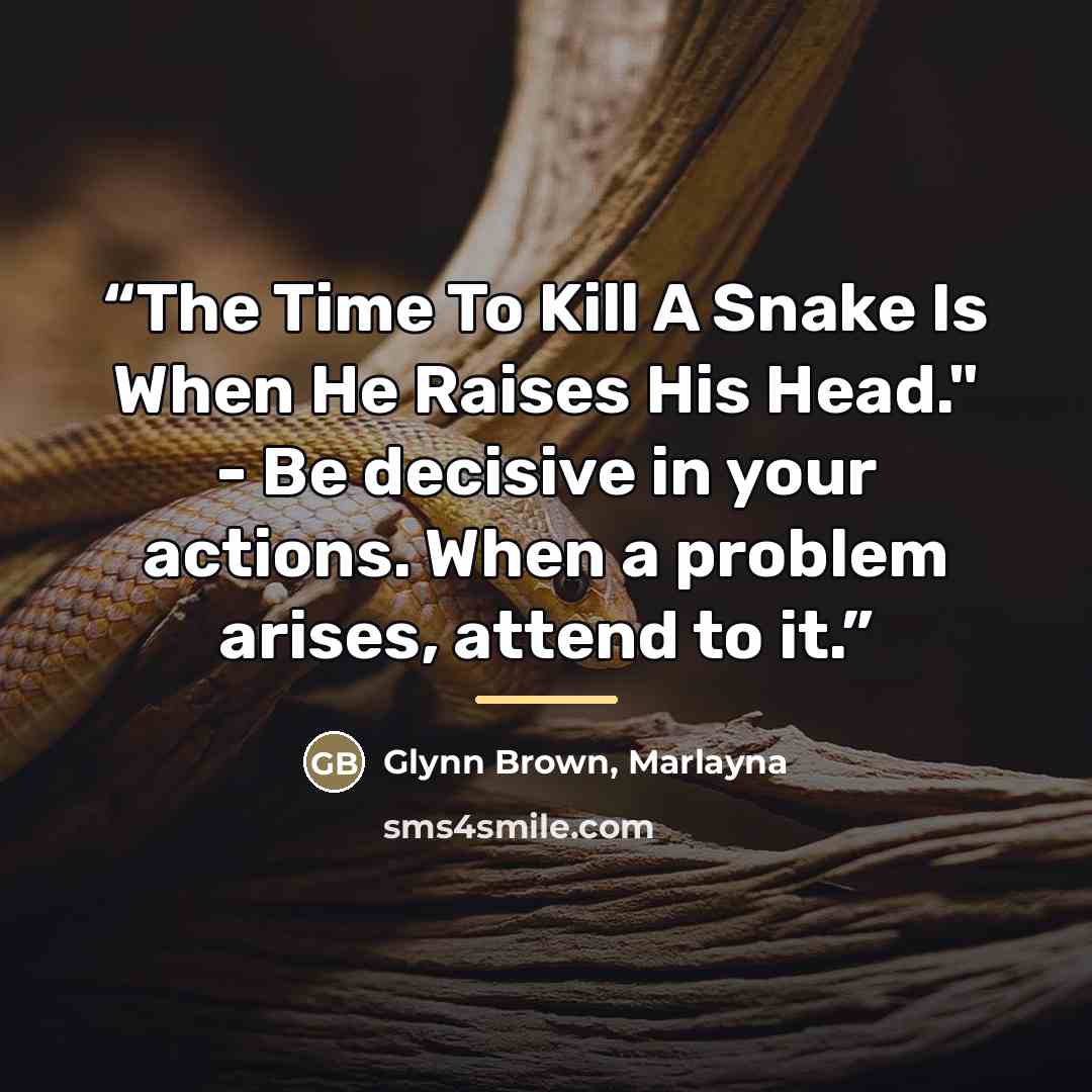 “The Time To Kill A Snake Is When He Raises His Head." - Be decisive in your actions. When a problem arises, attend to it.” quote by Glynn Brown, Marlayna