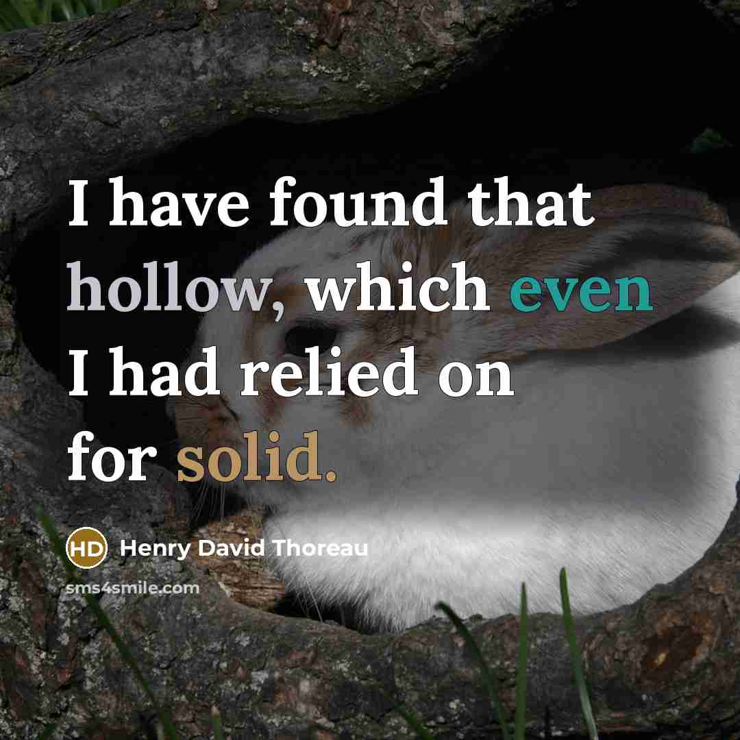 “I have found that hollow, which even I had relied on for solid.” quote by Henry David Thoreau