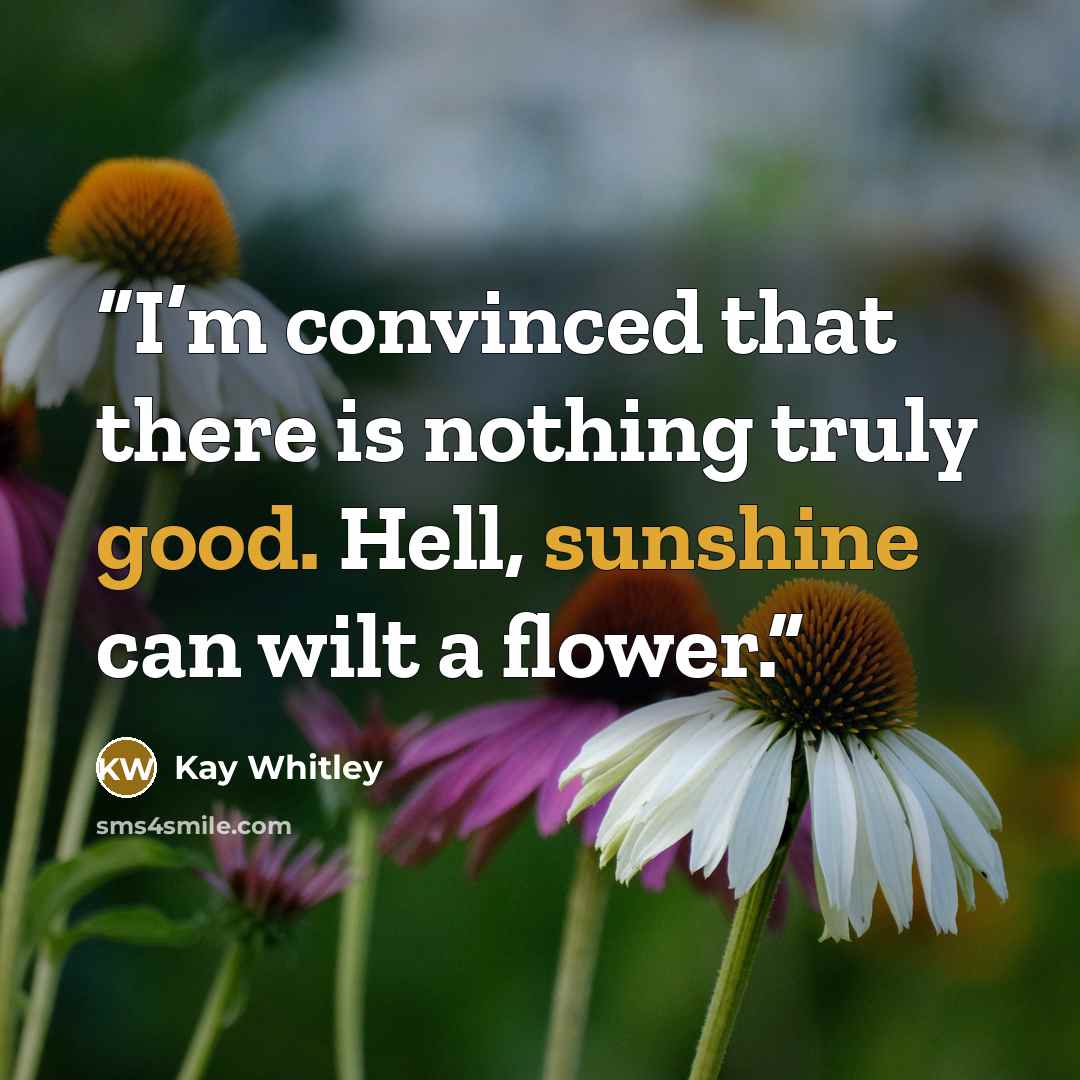 “I’m convinced that there is nothing ​truly good. Hell, sunshine can wilt a flower.” quote by Kay Whitley