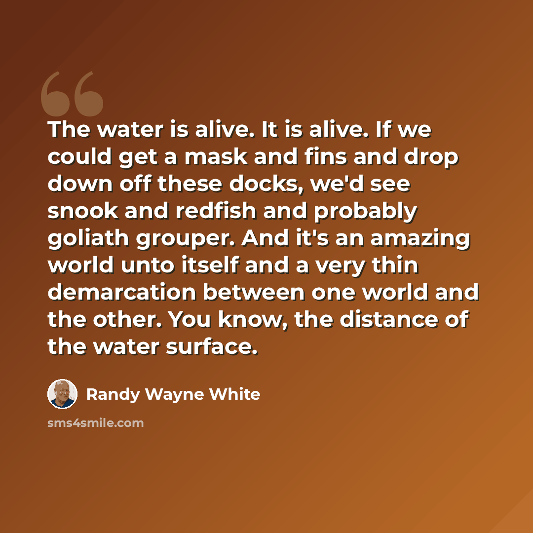 “The water is alive. It is alive. If we could get a mask and fins and drop down off these docks, we'd see snook and redfish and probably goliath grouper. And it's an amazing world unto itself and a very thin demarcation between one world and the other. You know, the distance of the water surface.” quote by Randy Wayne White