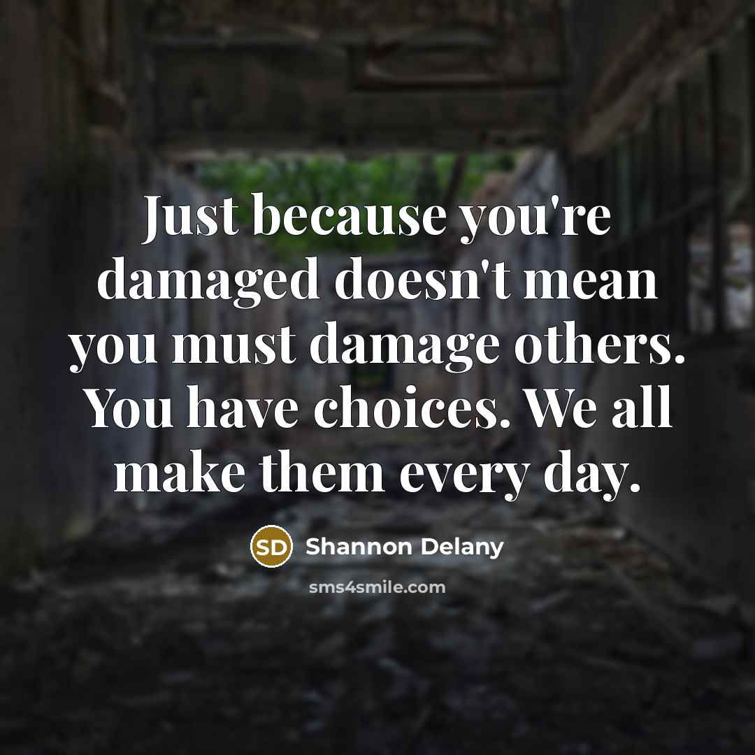 “Just because you're damaged doesn't mean you must damage others. You have choices. We all make them every day.” quote by Shannon Delany