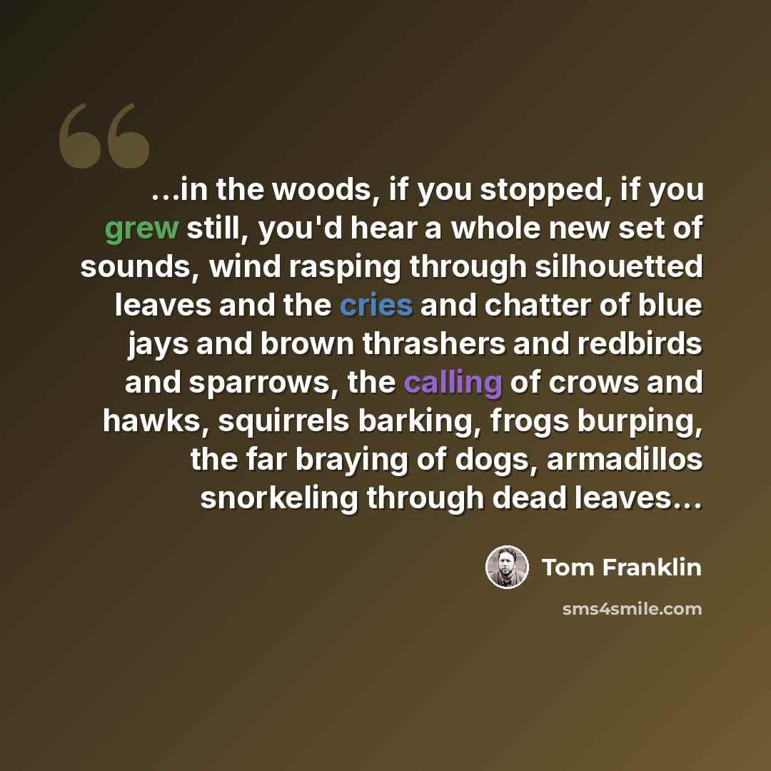 “...in the woods, if you stopped, if you grew still, you'd hear a whole new set of sounds, wind rasping through silhouetted leaves and the cries and chatter of blue jays and brown thrashers and redbirds and sparrows, the calling of crows and hawks, squirrels barking, frogs burping, the far braying…” quote by Tom Franklin