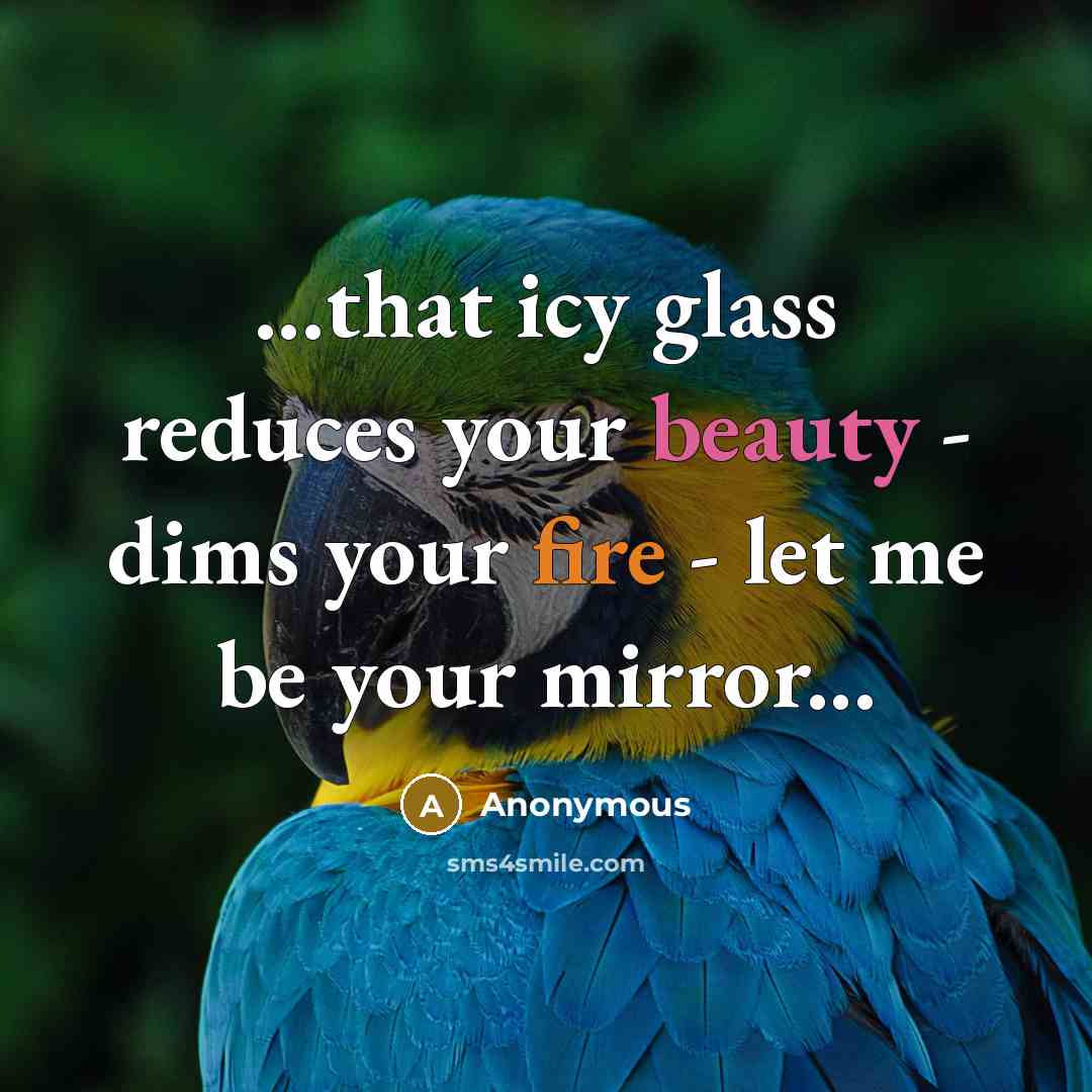 “...that icy glass reduces your beauty - dims your fire - let me be your mirror...” quote by Anonymous
