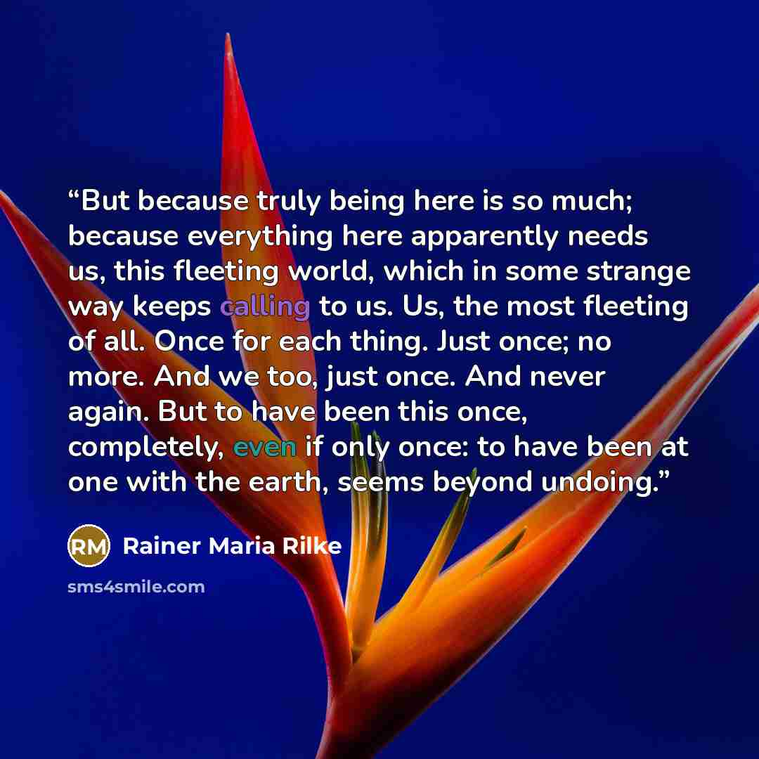 “But because truly being here is so much; because everything here apparently needs us, this fleeting world, which in some strange way keeps calling to us. Us, the most fleeting of all. Once for each thing. Just once; no more. And we too, just once. And never again. But to have been this once…” quote by Rainer Maria Rilke