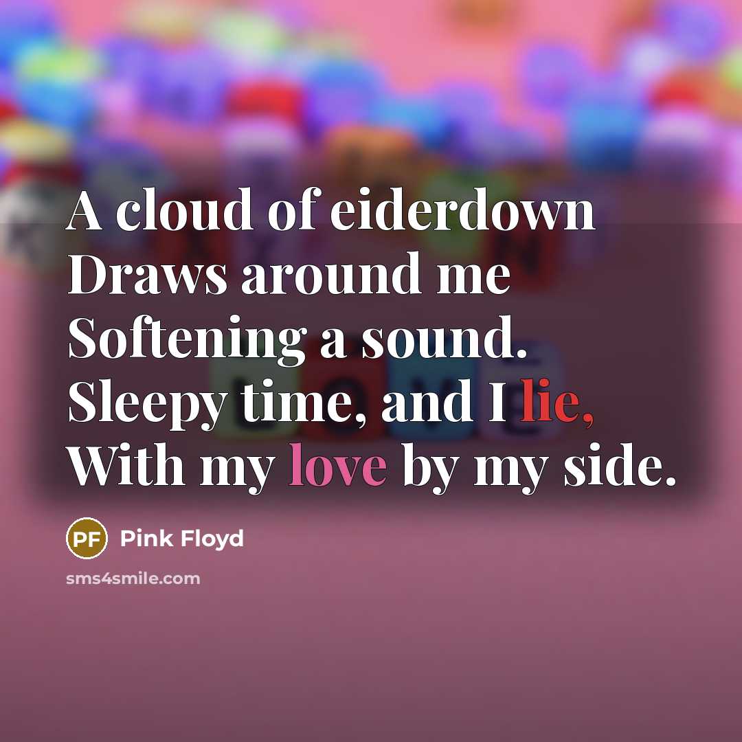 “A cloud of eiderdown Draws around me Softening a sound. Sleepy time, and I lie, With my love by my side.” quote by Pink Floyd