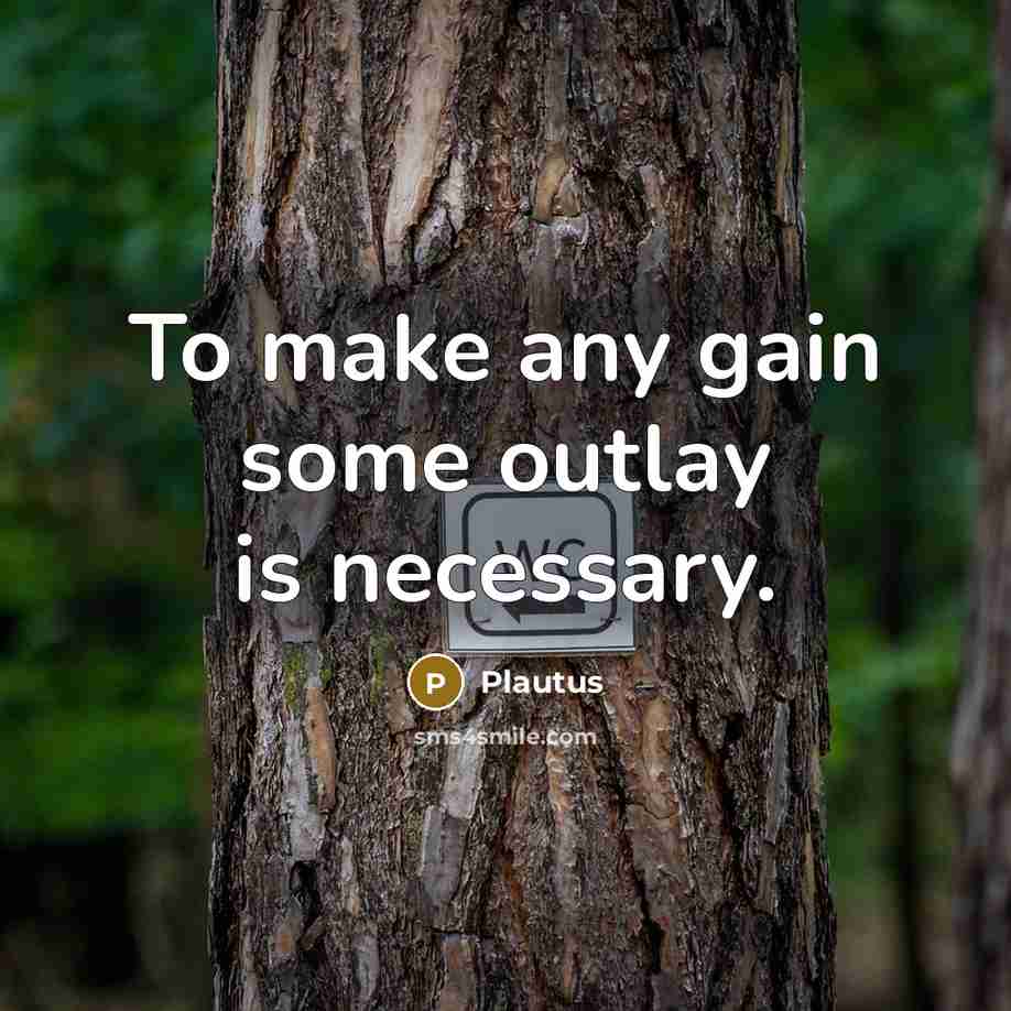 “To make any gain some outlay is necessary.” quote by Plautus