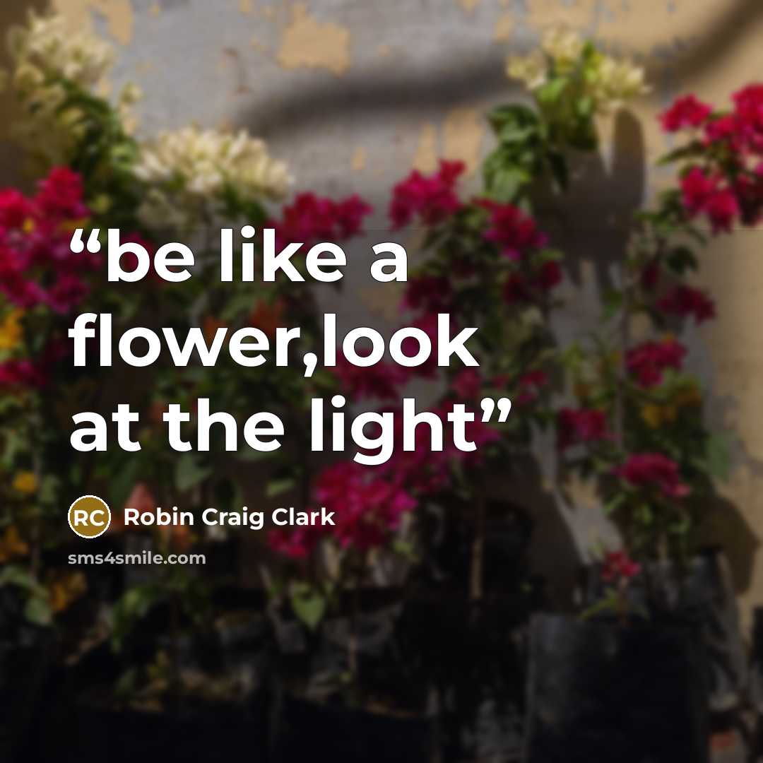 “be like a flower,look at the light” quote by Robin Craig Clark