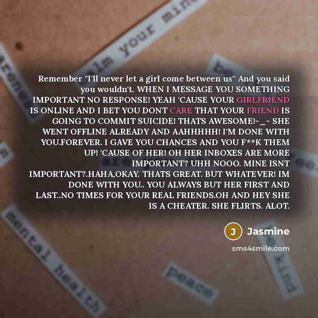 “Remember ''I'll never let a girl come between us'' And you said you wouldn't. WHEN I MESSAGE YOU SOMETHING IMPORTANT NO RESPONSE! YEAH 'CAUSE YOUR GIRLFRIEND IS ONLINE AND I BET YOU DONT CARE THAT YOUR FRIEND IS GOING TO COMMIT SUICIDE! THATS AWESOME!-_- SHE WENT OFFLINE ALREADY AND AAHHHHH! I'M…” quote by Jasmine