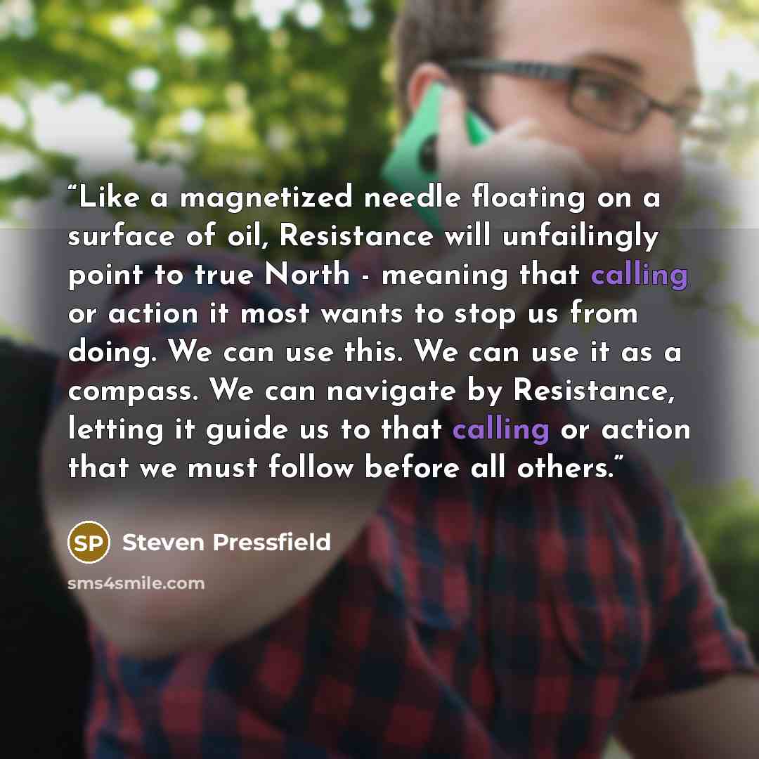 “Like a magnetized needle floating on a surface of oil, Resistance will unfailingly point to true North - meaning that calling or action it most wants to stop us from doing. We can use this. We can use it as a compass. We can navigate by Resistance, letting it guide us to that calling or action…” quote by Steven Pressfield
