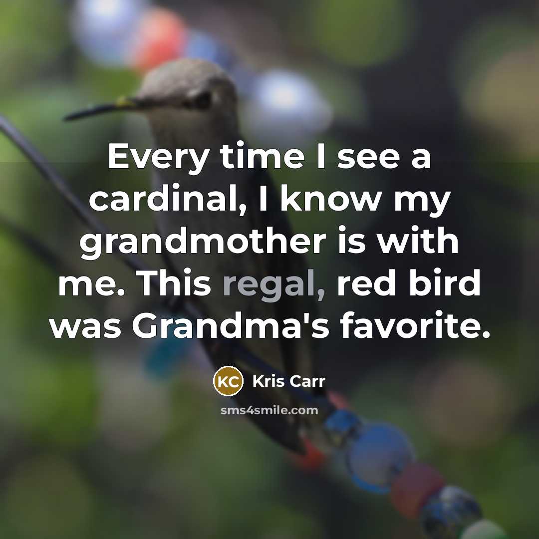 “Every time I see a cardinal, I know my grandmother is with me. This regal, red bird was Grandma's favorite.” quote by Kris Carr