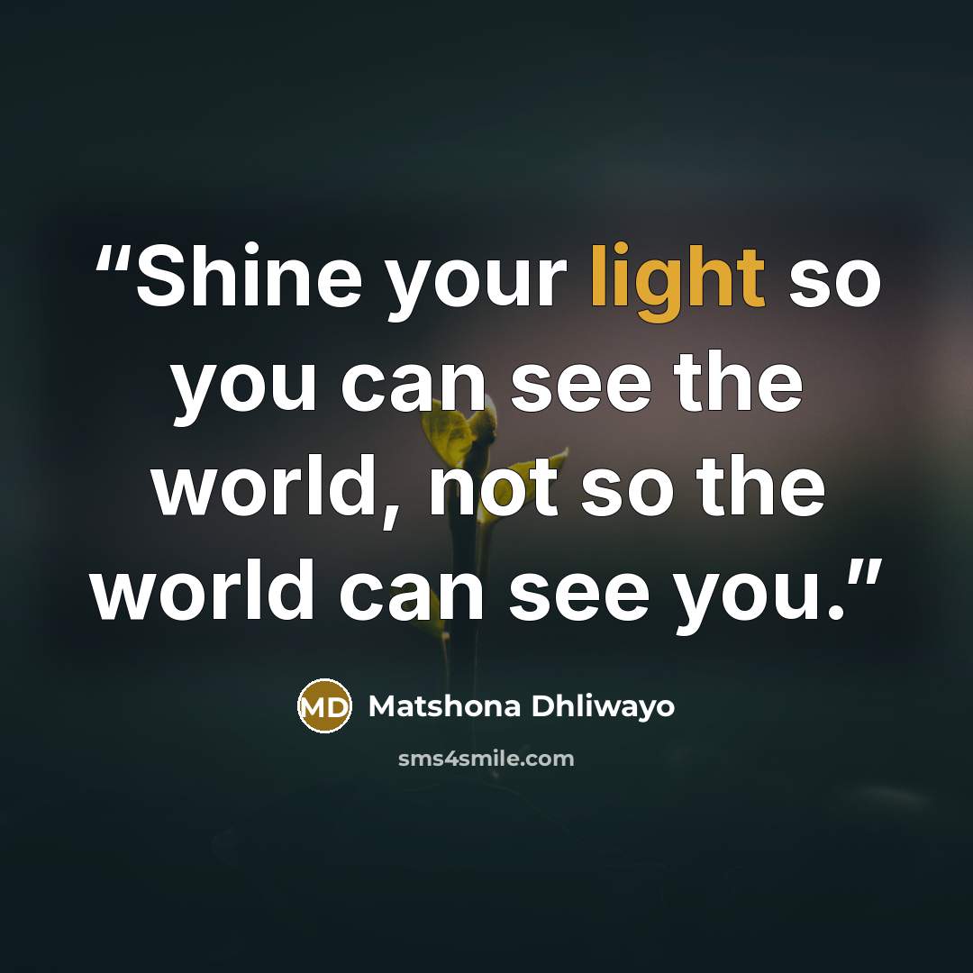 “Shine your light so you can see the world, not so the world can see you.” quote by Matshona Dhliwayo