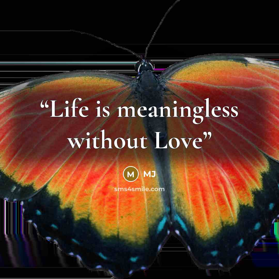 “Life is meaningless without Love” quote by mj