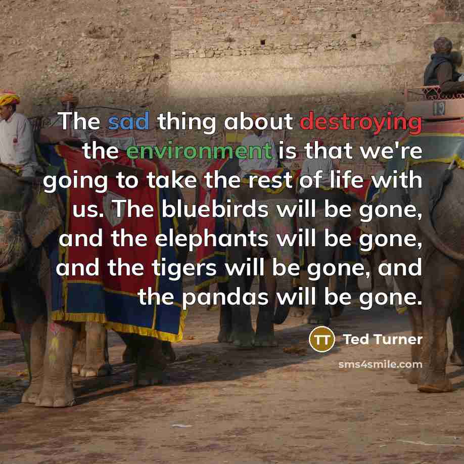 “The sad thing about destroying the environment is that we're going to take the rest of life with us. The bluebirds will be gone, and the elephants will be gone, and the tigers will be gone, and the pandas will be gone.” quote by Ted Turner