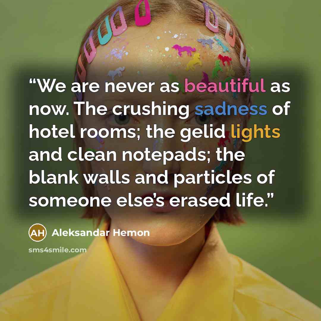 “We are never as beautiful as now. The crushing sadness of hotel rooms; the gelid lights and clean notepads; the blank walls and particles of someone else’s erased life.” quote by Aleksandar Hemon