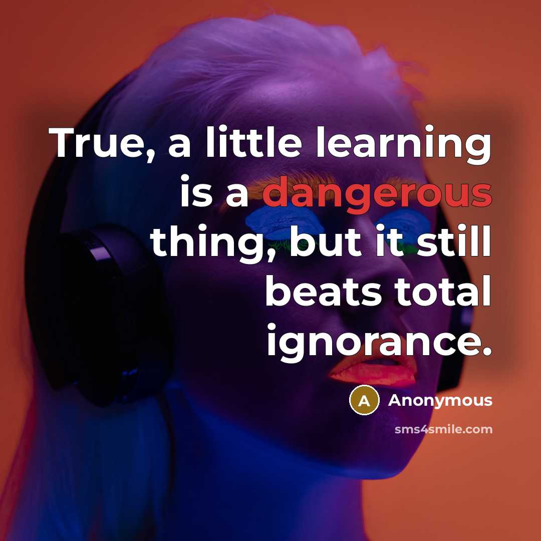 “True, a little learning is a dangerous thing, but it still beats total ignorance.” quote by Anonymous