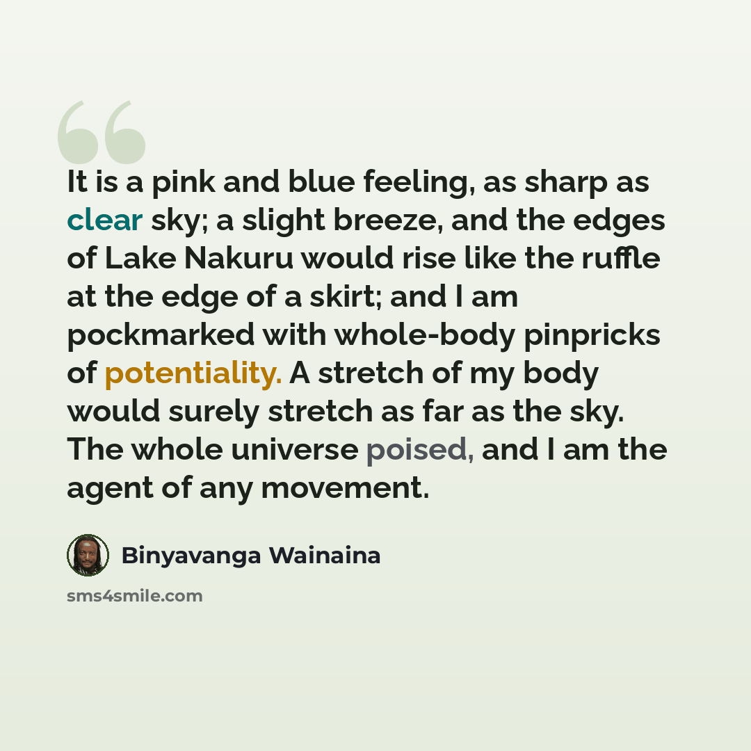 “It is a pink and blue feeling, as sharp as clear sky; a slight breeze, and the edges of Lake Nakuru would rise like the ruffle at the edge of a skirt; and I am pockmarked with whole-body pinpricks of potentiality. A stretch of my body would surely stretch as far as the sky. The whole universe…” quote by Binyavanga Wainaina