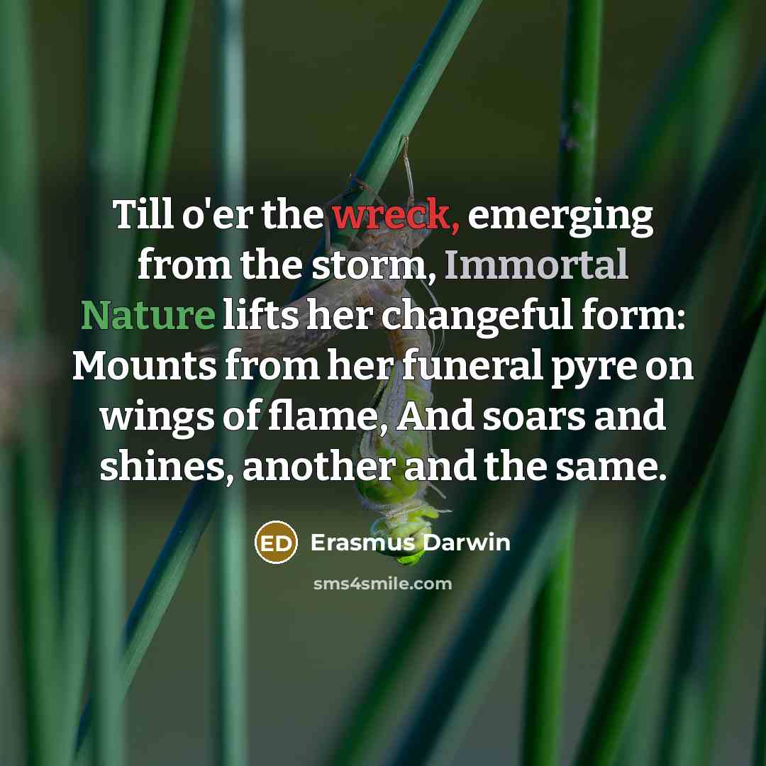 “Till o'er the wreck, emerging from the storm, Immortal Nature lifts her changeful form: Mounts from her funeral pyre on wings of flame, And soars and shines, another and the same.” quote by Erasmus Darwin