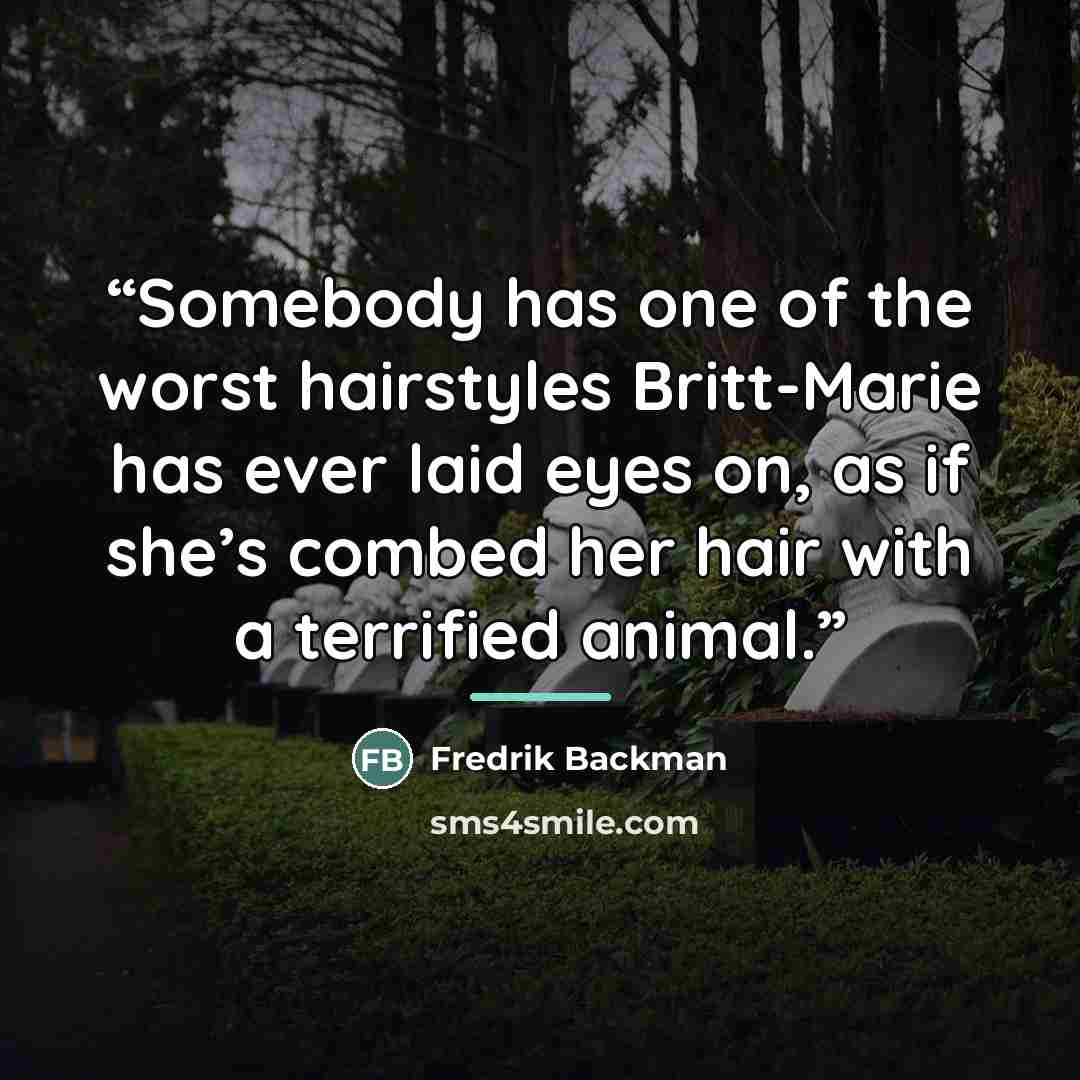 “Somebody has one of the worst hairstyles Britt-Marie has ever laid eyes on, as if she’s combed her hair with a terrified animal.” quote by Fredrik Backman