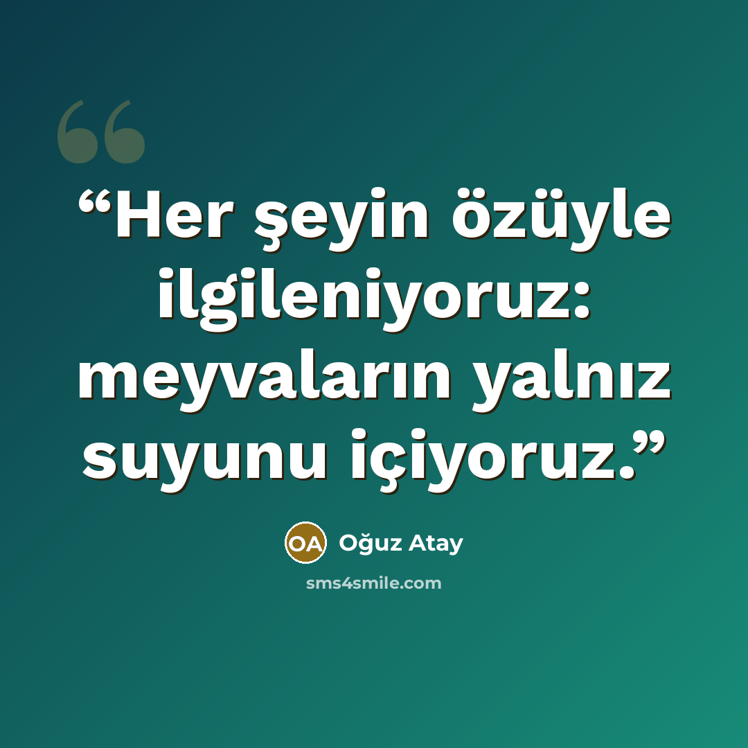 “Her şeyin özüyle ilgileniyoruz: meyvaların yalnız suyunu içiyoruz.” quote by Oğuz Atay