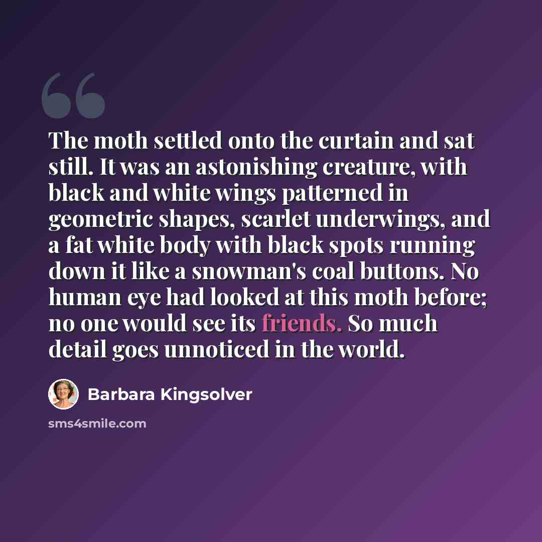 “The moth settled onto the curtain and sat still. It was an astonishing creature, with black and white wings patterned in geometric shapes, scarlet underwings, and a fat white body with black spots running down it like a snowman's coal buttons. No human eye had looked at this moth before; no one…” quote by Barbara Kingsolver