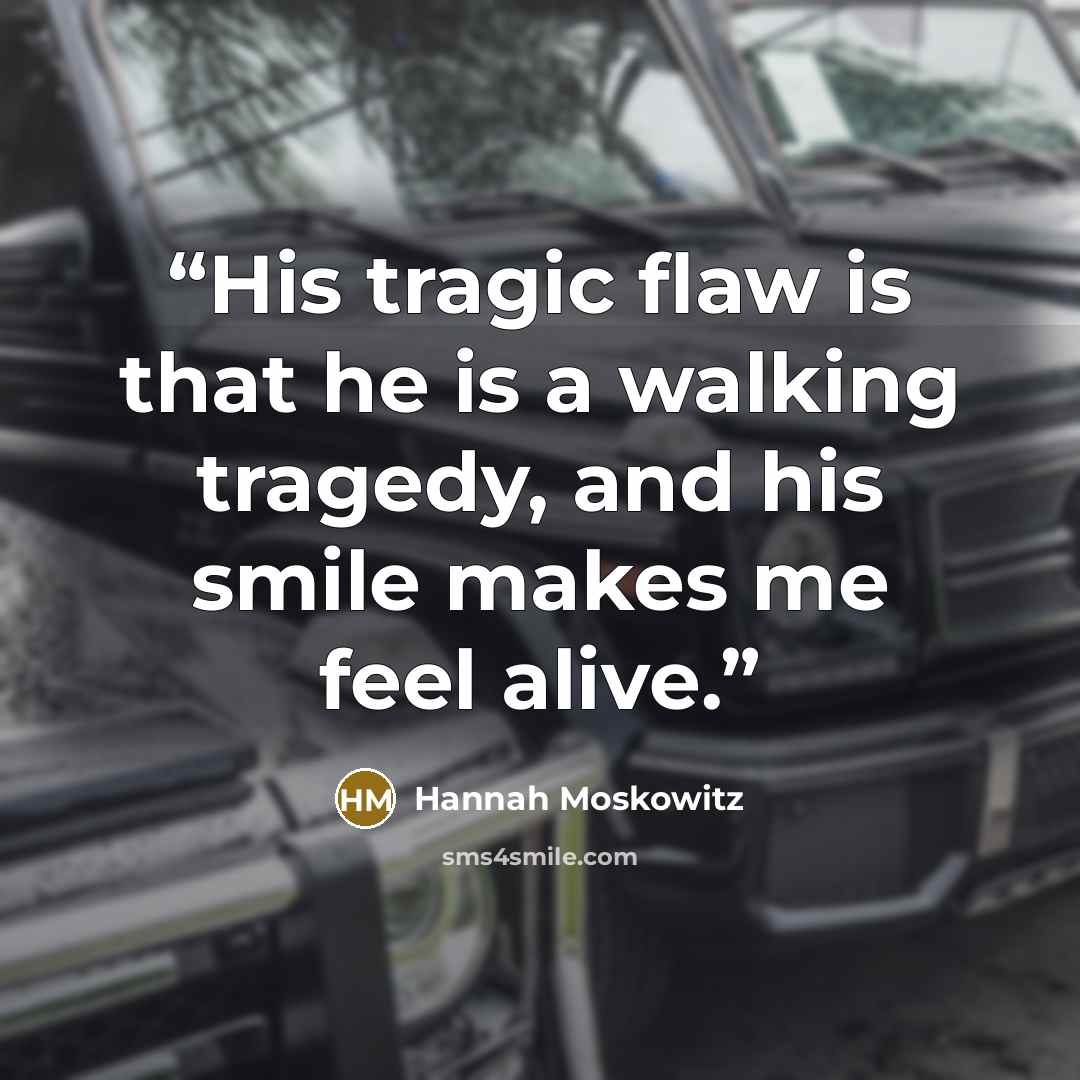 “His tragic flaw is that he is a walking tragedy, and his smile makes me feel alive.” quote by Hannah Moskowitz